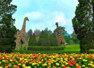 5 Referensi Destinasi Taman Bunga Yang Indah Di Indonesia