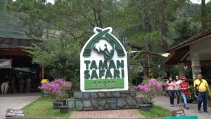 Taman Safari Indonesia Bogor